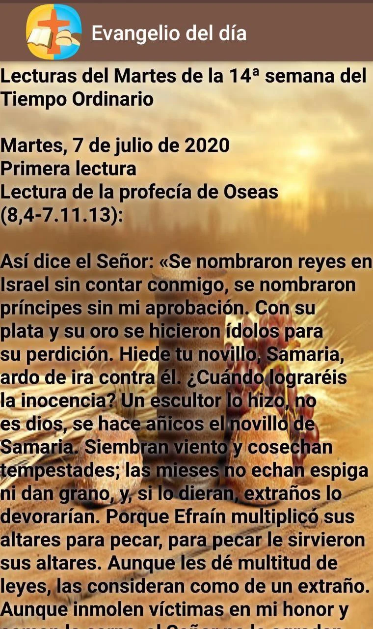 Evangelio del día screenshot
